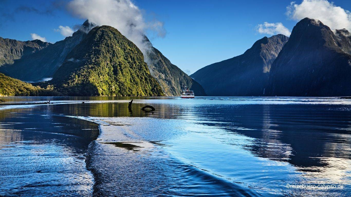 Bären am Fluss in Kanada