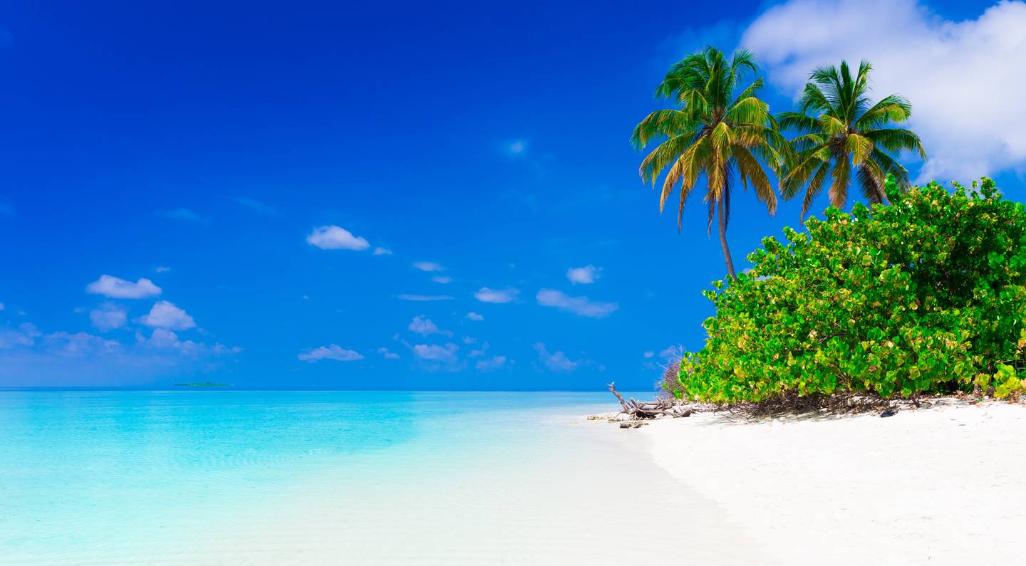 Vakantie met Schauinsland Reisen De goedkopste vakanties met Schauinsland Reizen boek je op vliegvakanties.de