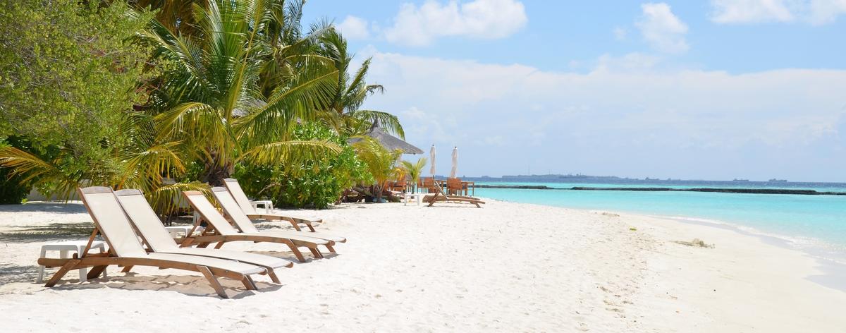 Leerer weißer Sandstrand mit Palmen