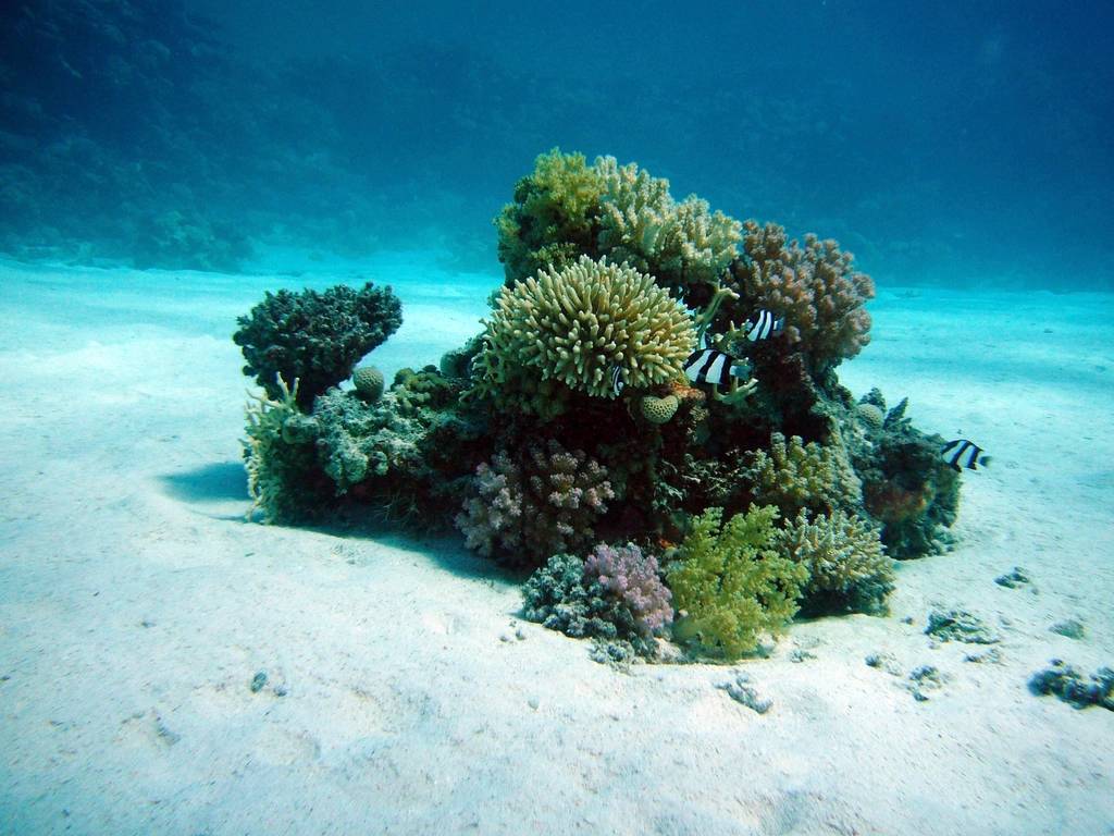 Hurghada Hurghada Urlaub