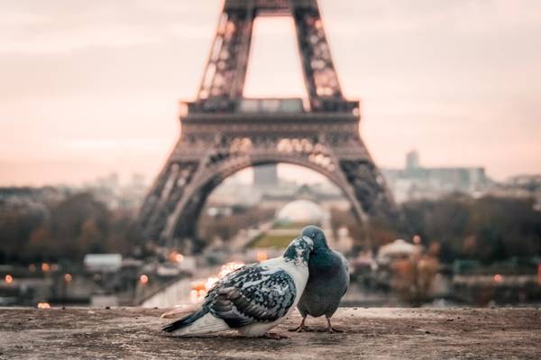 Destination Image