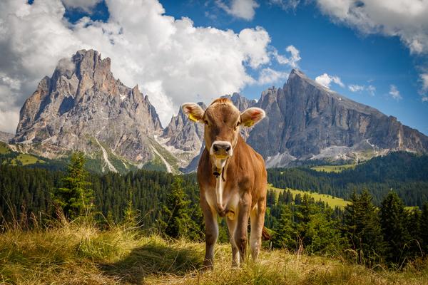 Südtirol