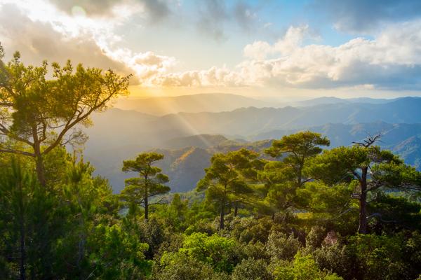 Blick über das Troodos Gebirge während des Sonnenuntergangs