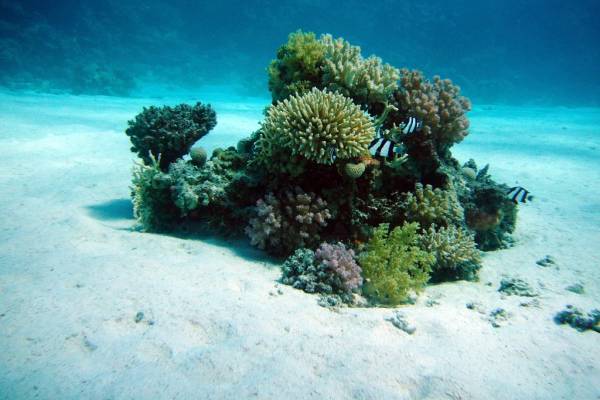 Ägypten Ägypten bei schlauer.reisen